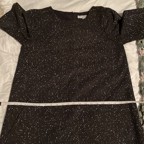 Birds of North America Winter Dress - Picture 7 of 7